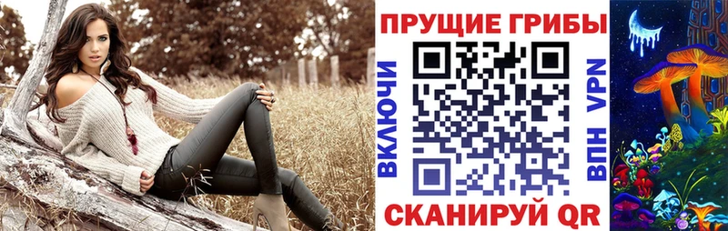 Галлюциногенные грибы прущие грибы  Махачкала 