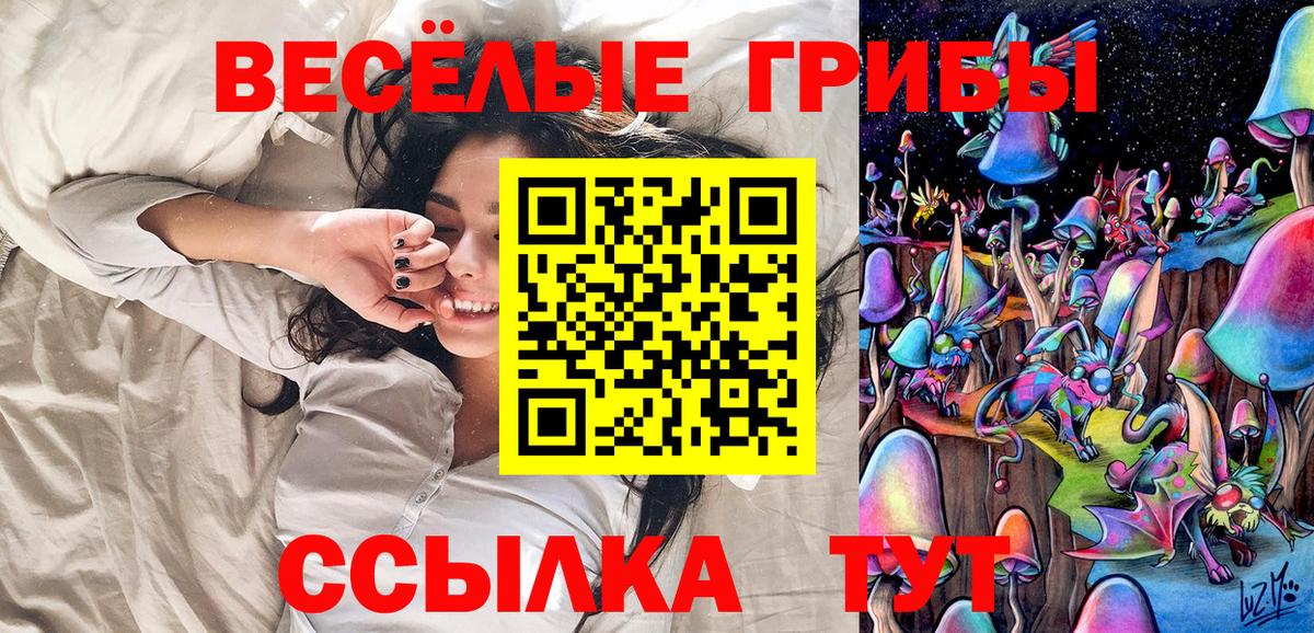 Псилоцибиновые грибы Psilocybine cubensis  Вход с VPN  Махачкала 